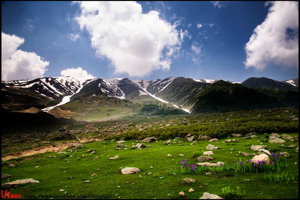 Grand Srinagar